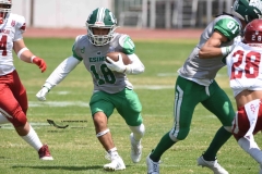 aguilas-blancas-cheyennes-intermedia-2024-onefa-53