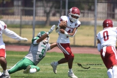 aguilas-blancas-cheyennes-intermedia-2024-onefa-56