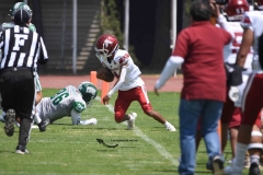 aguilas-blancas-cheyennes-intermedia-2024-onefa-57
