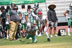 aguilas-blancas-cheyennes-intermedia-2024-onefa-61