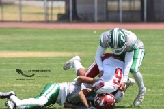 aguilas-blancas-cheyennes-intermedia-2024-onefa-64