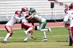 aguilas-blancas-cheyennes-intermedia-2024-onefa-7