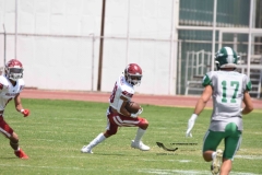 aguilas-blancas-cheyennes-intermedia-2024-onefa-71