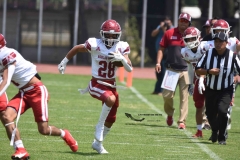 aguilas-blancas-cheyennes-intermedia-2024-onefa-72