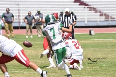 aguilas-blancas-cheyennes-intermedia-2024-onefa-77