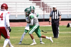 aguilas-blancas-cheyennes-intermedia-2024-onefa-8