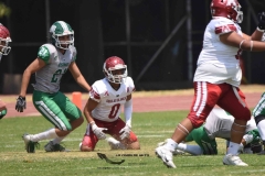 aguilas-blancas-cheyennes-intermedia-2024-onefa-82