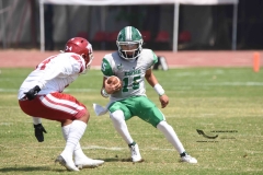 aguilas-blancas-cheyennes-intermedia-2024-onefa-9