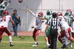 aguilas-blancas-cheyennes-intermedia-2024-onefa-98