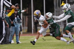 cheyennes-autenticos-uanl-intermedia-2023-103