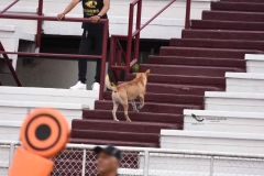 cheyennes-autenticos-uanl-intermedia-2023-117
