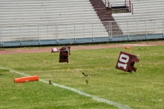 cheyennes-autenticos-uanl-intermedia-2023-15