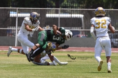 cheyennes-autenticos-uanl-intermedia-2023-40