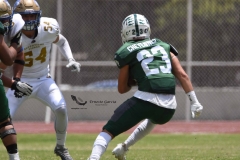 cheyennes-autenticos-uanl-intermedia-2023-42