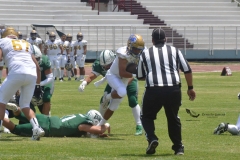 cheyennes-autenticos-uanl-intermedia-2023-5