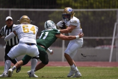 cheyennes-autenticos-uanl-intermedia-2023-54