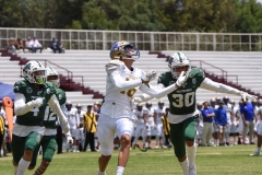 cheyennes-autenticos-uanl-intermedia-2023-59
