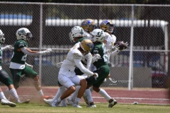 cheyennes-autenticos-uanl-intermedia-2023-88