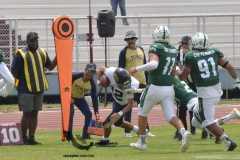 cheyennes-pumas-acatlan-intermedia-2023-1