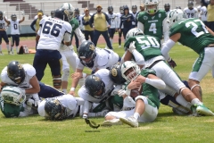cheyennes-pumas-acatlan-intermedia-2023-10