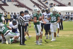 cheyennes-pumas-acatlan-intermedia-2023-11