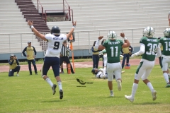 cheyennes-pumas-acatlan-intermedia-2023-12