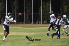 cheyennes-pumas-acatlan-intermedia-2023-130