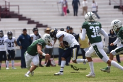 cheyennes-pumas-acatlan-intermedia-2023-30