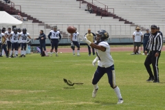cheyennes-pumas-acatlan-intermedia-2023-4