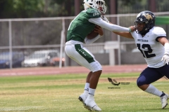 cheyennes-pumas-acatlan-intermedia-2023-44