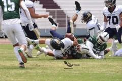 cheyennes-pumas-acatlan-intermedia-2023-49