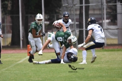 cheyennes-pumas-acatlan-intermedia-2023-58