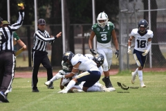 cheyennes-pumas-acatlan-intermedia-2023-59