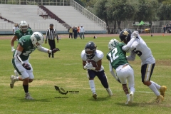 cheyennes-pumas-acatlan-intermedia-2023-6