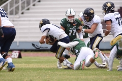 cheyennes-pumas-acatlan-intermedia-2023-69
