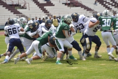 cheyennes-pumas-acatlan-intermedia-2023-8