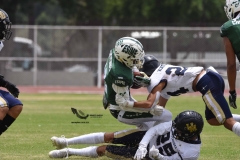 cheyennes-pumas-acatlan-intermedia-2023-80