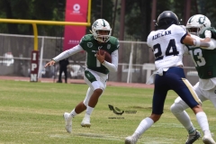 cheyennes-pumas-acatlan-intermedia-2023-81