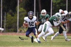 cheyennes-pumas-acatlan-intermedia-2023-90