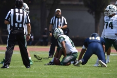 cheyennes-pumas-cu-2023-intermedia-onefa-100