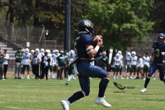 cheyennes-pumas-cu-2023-intermedia-onefa-101
