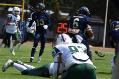 cheyennes-pumas-cu-2023-intermedia-onefa-102