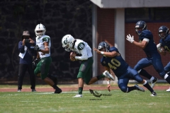 cheyennes-pumas-cu-2023-intermedia-onefa-108