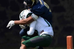 cheyennes-pumas-cu-2023-intermedia-onefa-109