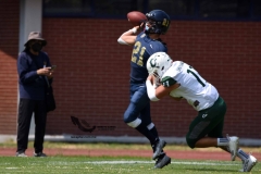 cheyennes-pumas-cu-2023-intermedia-onefa-115