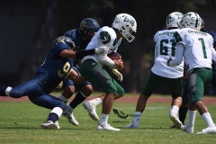 cheyennes-pumas-cu-2023-intermedia-onefa-120