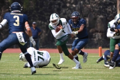 cheyennes-pumas-cu-2023-intermedia-onefa-130