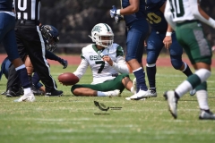 cheyennes-pumas-cu-2023-intermedia-onefa-131