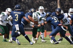 cheyennes-pumas-cu-2023-intermedia-onefa-132