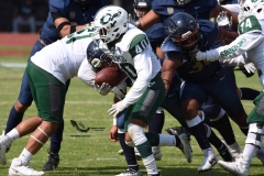 cheyennes-pumas-cu-2023-intermedia-onefa-148